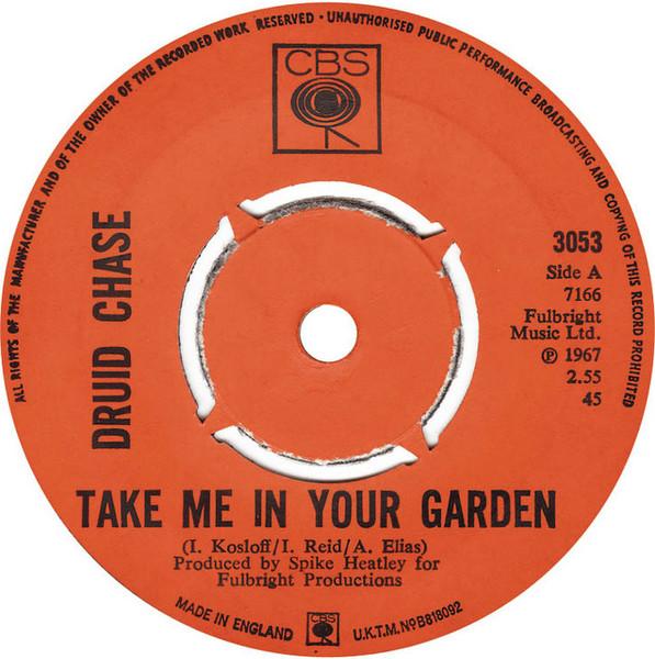 Take Me In Your Garden - Druid Chase