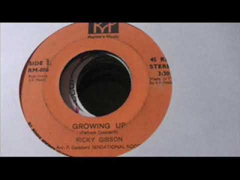  - Ricky Gibson & The Fantastics