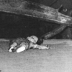 Albeit Albeit - Cicciolina Holocaust