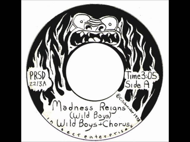 Madness Reigns / Outskirts Of '73 - Wild Boys