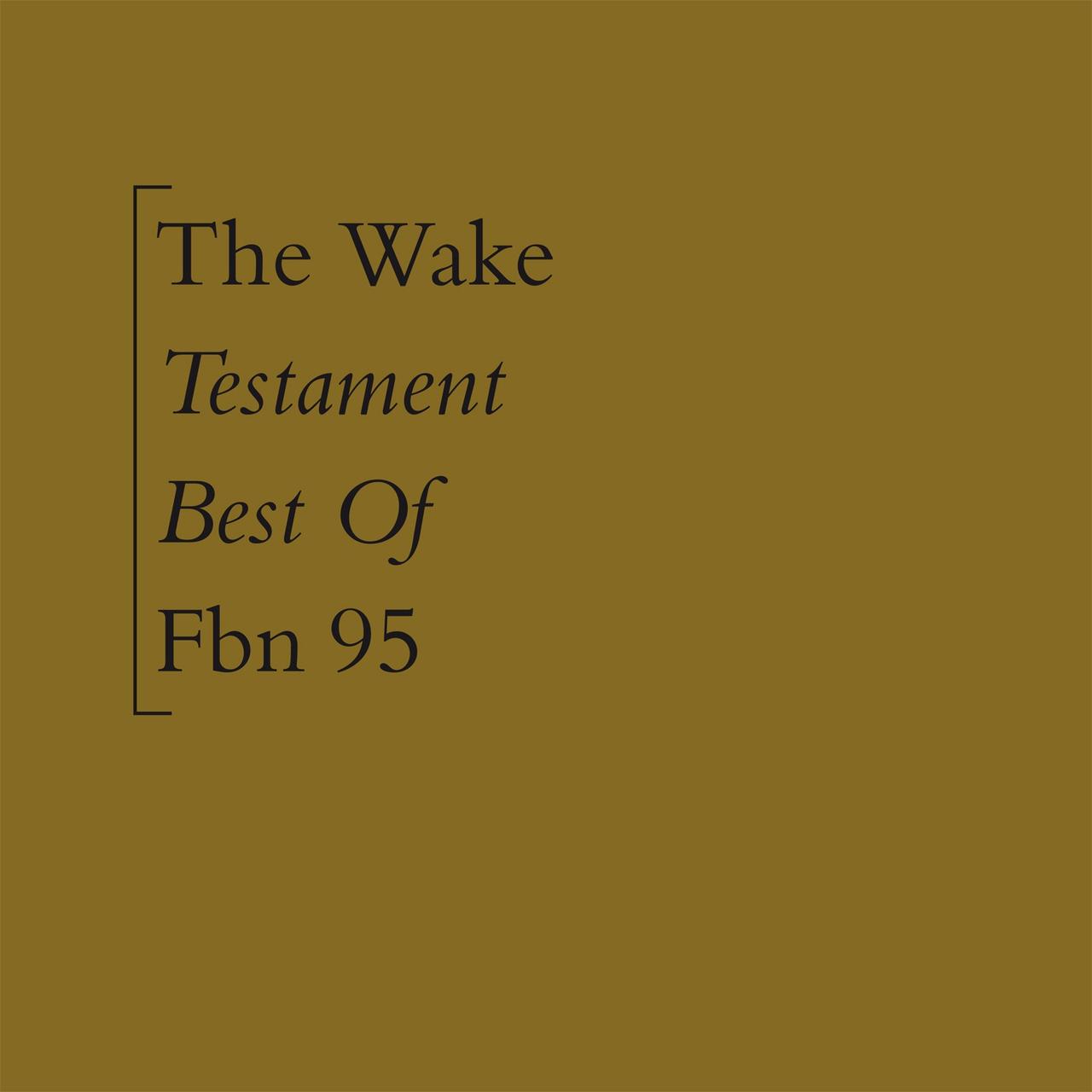 A Light Far Out - The Wake
