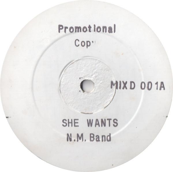 She Wants - The NM Band