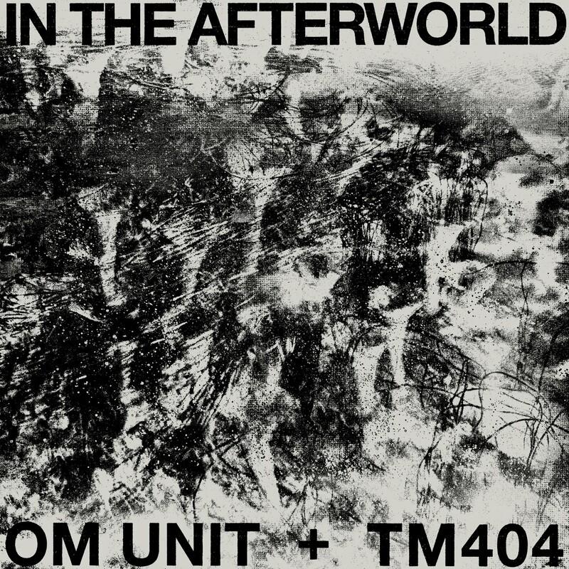 In The Afterworld - Om Unit TM404