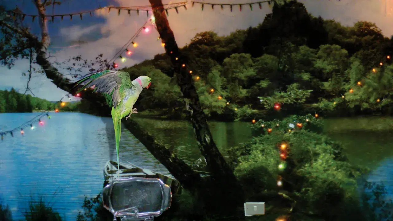 Benhayyi Al-Baghbaghan (Salute the Parrot) - Maurice Louca