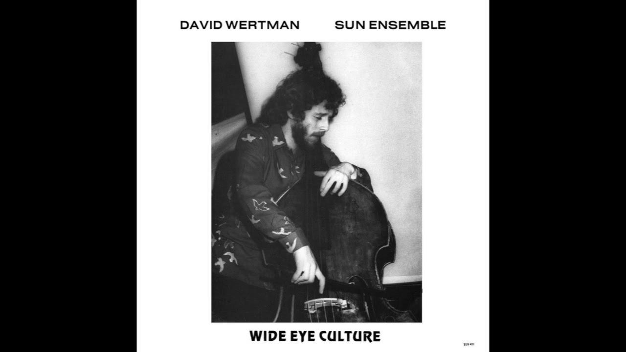 Wide Eye Culture - David Wertman & Sun Ensemble