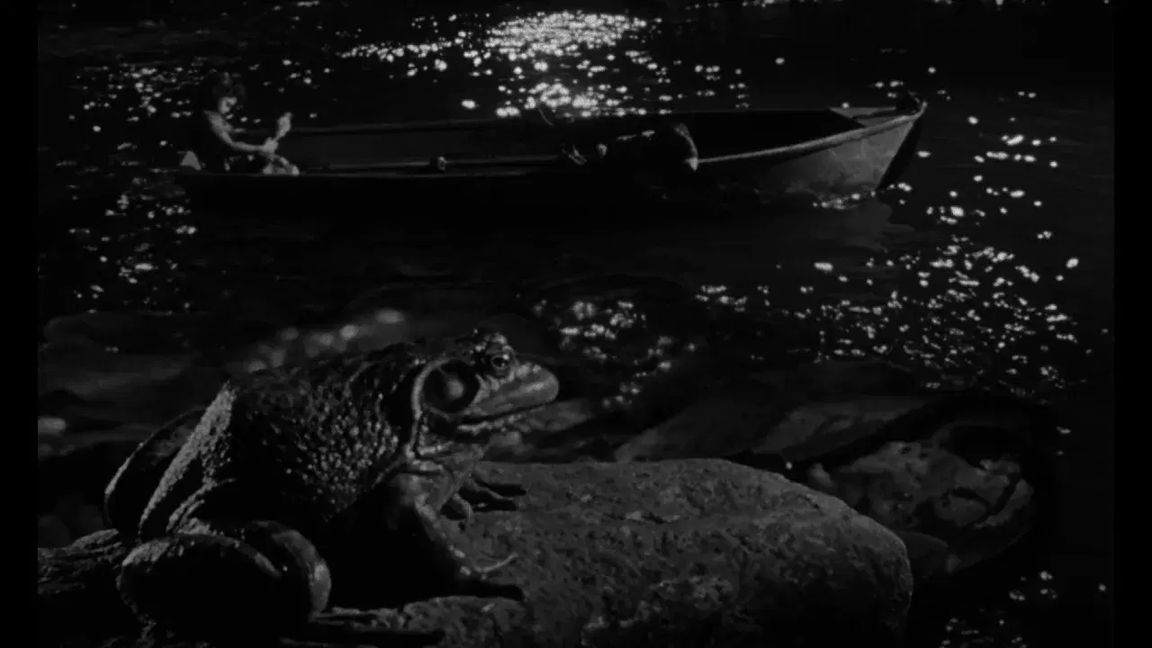 The Night Of The Hunter - Walter Schuman