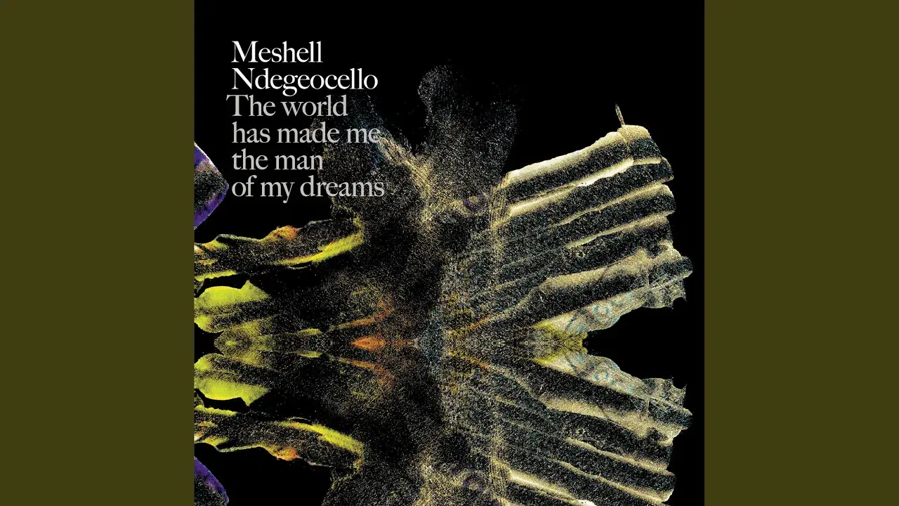 The Article 3 EP - Meshell Ndegeocello