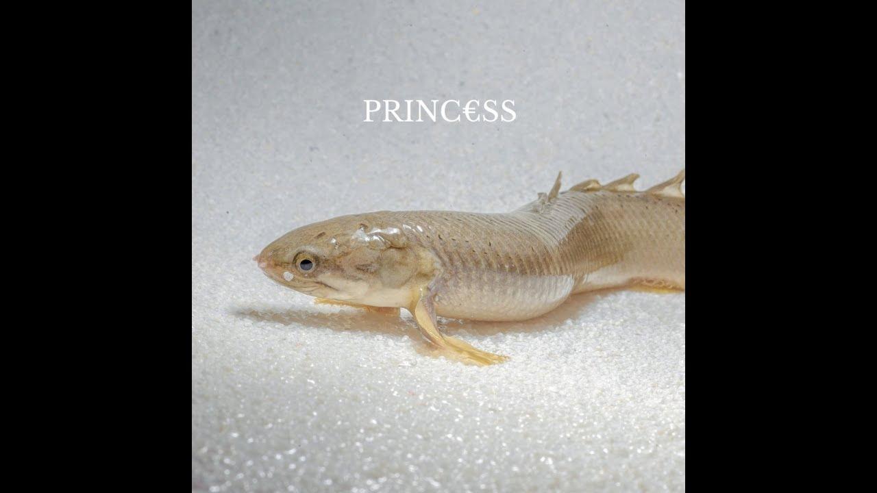 Princ​€​ss - Princ​€​ss