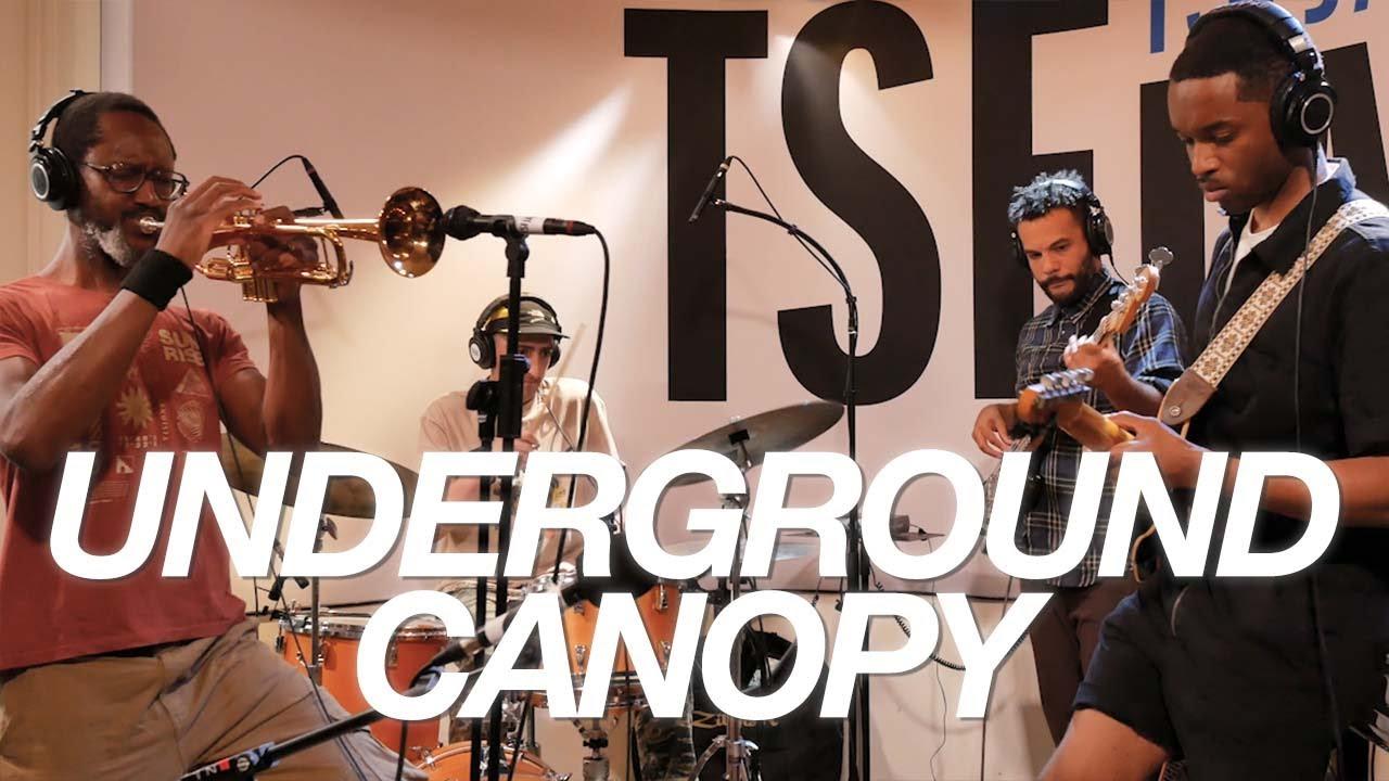 MENACE: In Sync - Underground Canopy