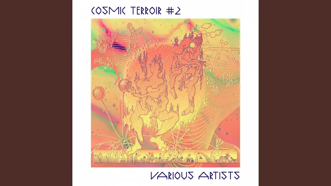 Various - Cosmic Terroir #2 - Martin Noise