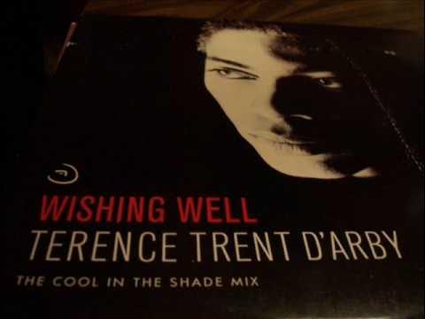 Wishing Well (The Darbinian Mix) - Terence Trent D'arby