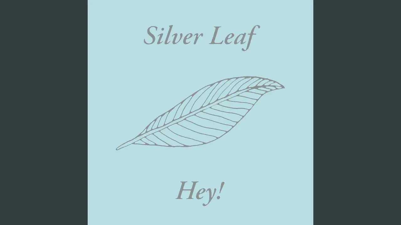 Hey! - Silver Leaf