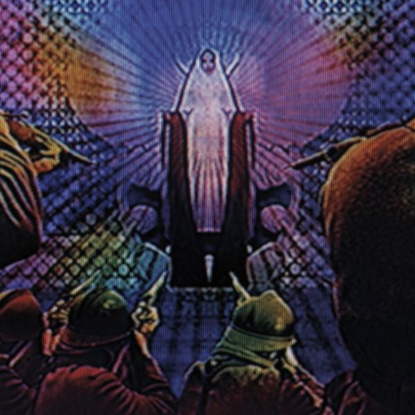 The Cell / The Struggle - Maxxi & Zeus
