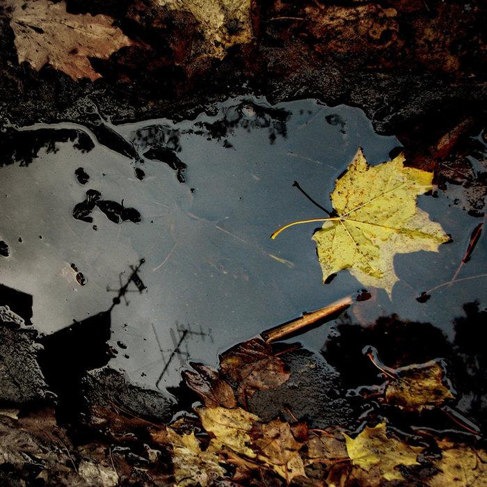 Klusums un peļķes - Rudens Lapas