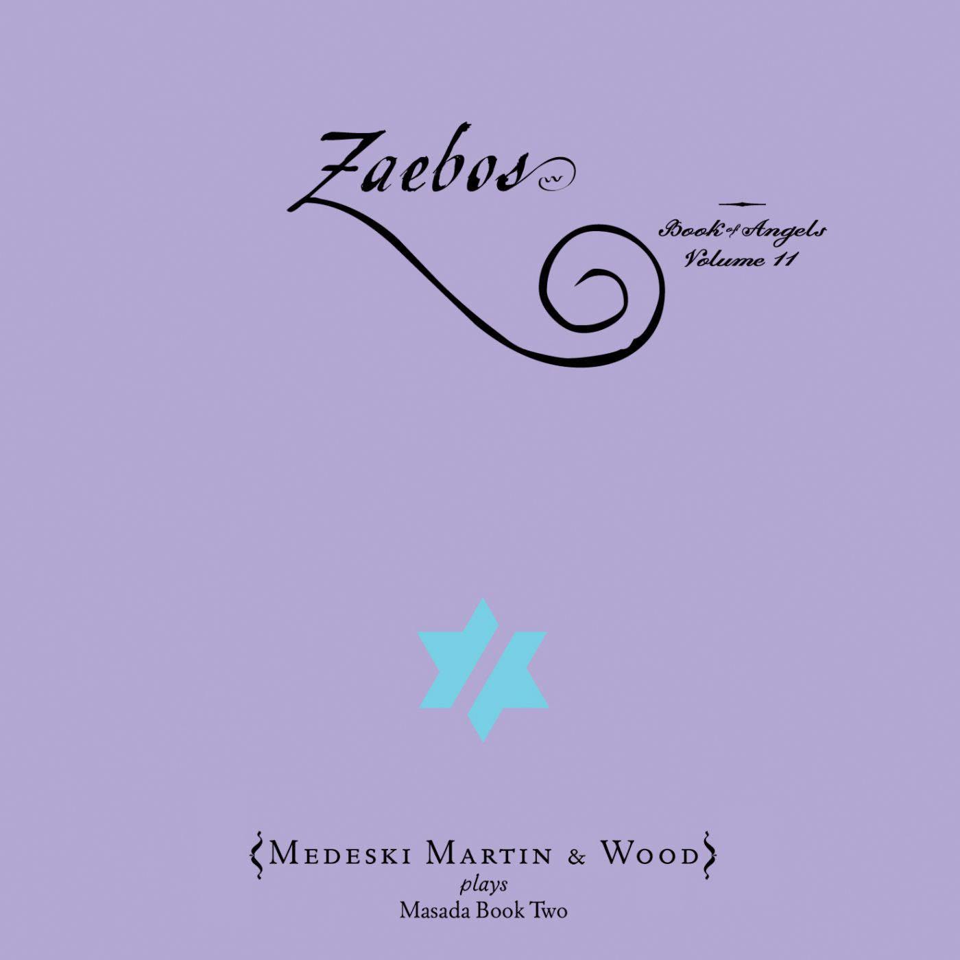 Book of Angels: Zaebos, Vol. 11 - Medeski, Martin & Wood
