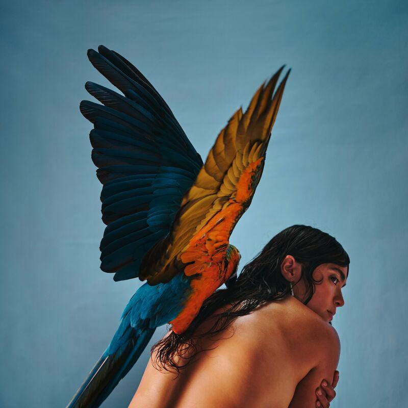 Malegría - Reyna Tropical
