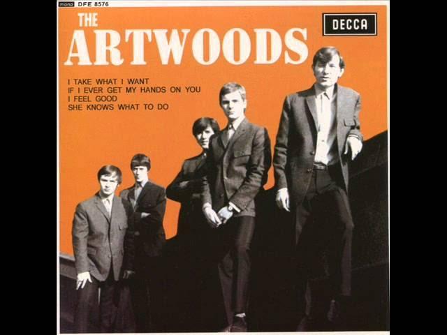 Decca Beat Rarities - Volume 23 - Artwoods