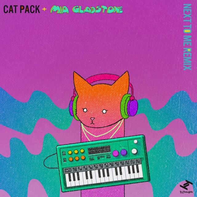 Next To Me (Remix) - Catpack