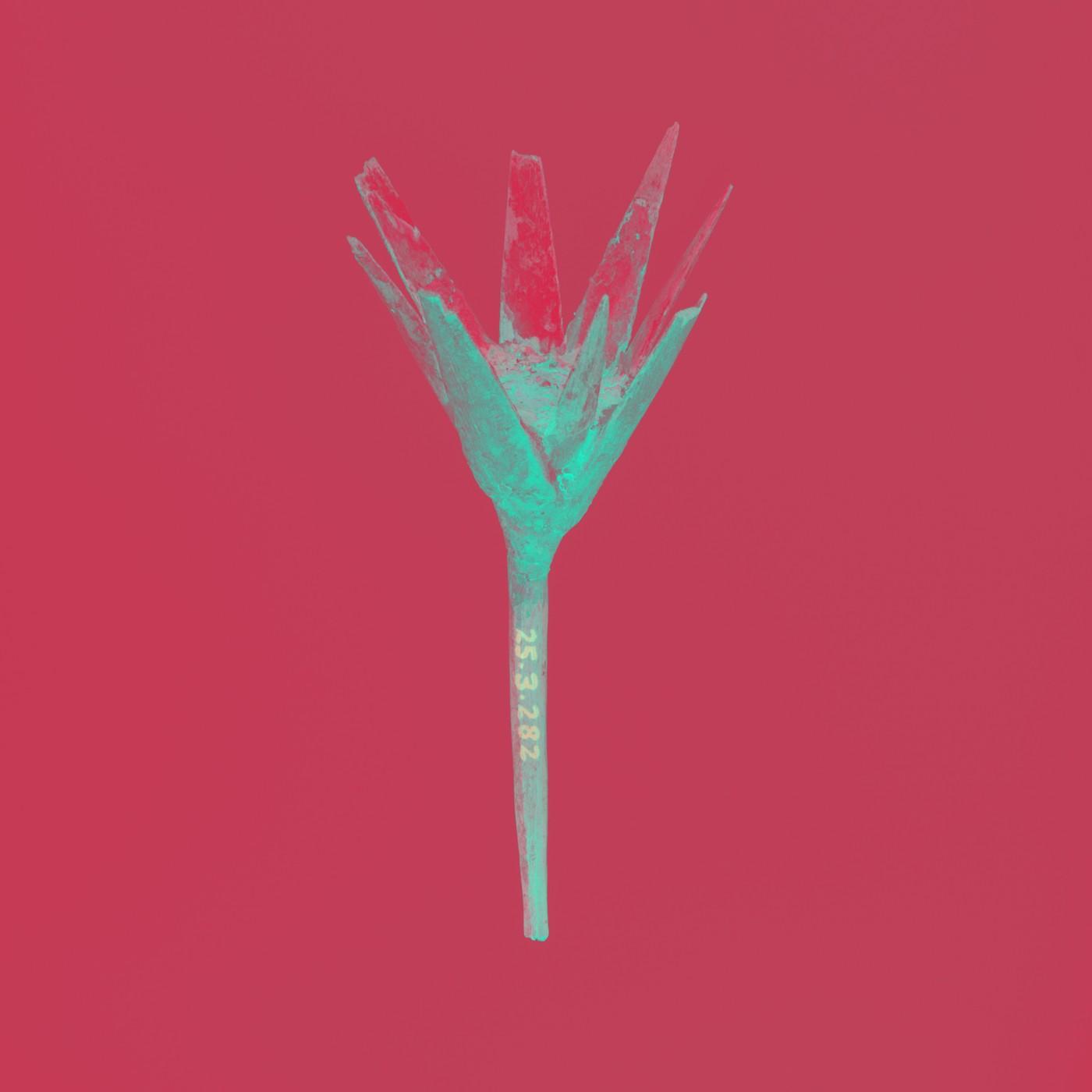  - Flores Raras (Terra Treme Remix)