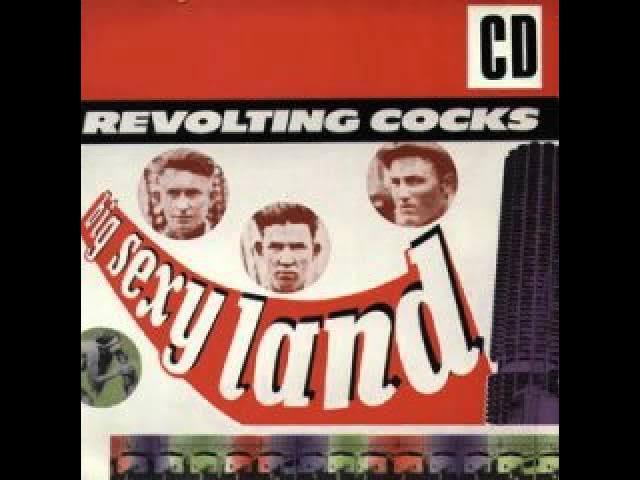 This Is Electronic Body Music - Revolting Cocks