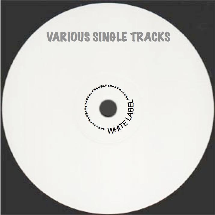 Various Single Tracks - Missy Elliott Vs. Wahoo