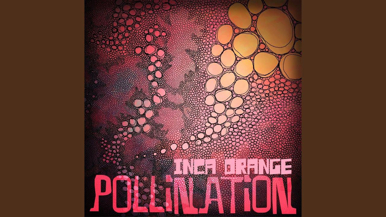 Inca Orange - Pollination