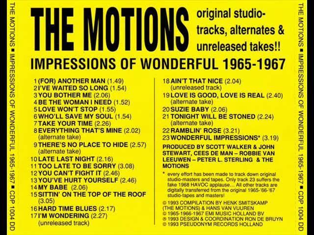 You Bother Me / We Fell In Love - The Motions