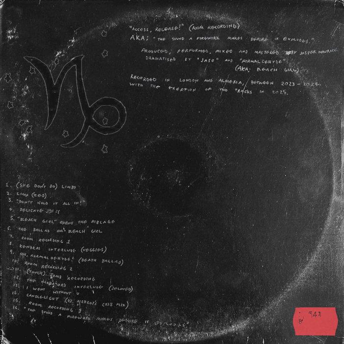 Access, Release! (Room Recording) - jaso (AKA; Jasper Maurice)