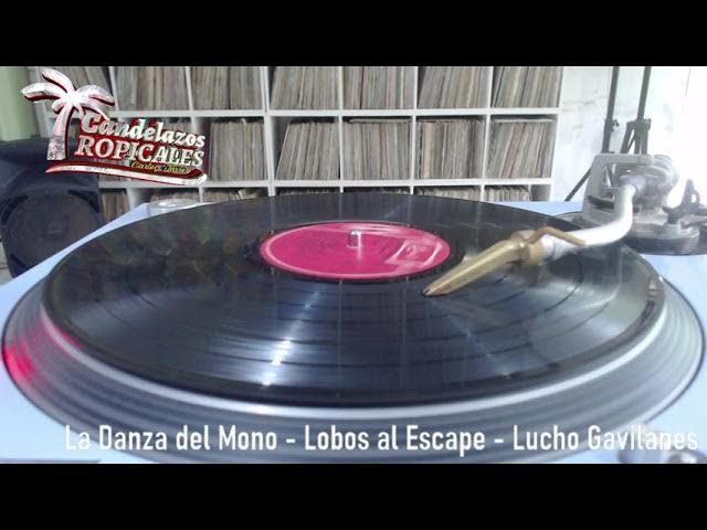 El Organo Parrandero - Lucho Gavilanes