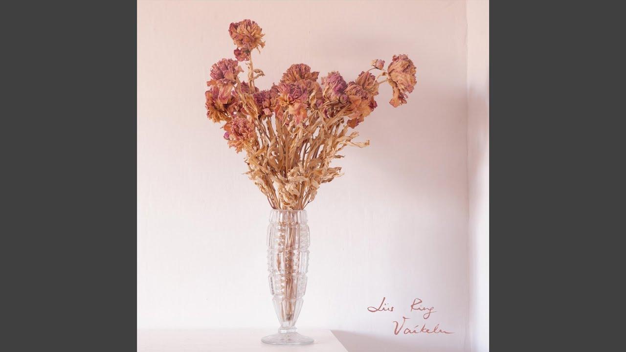Vaikelu - Liis Ring