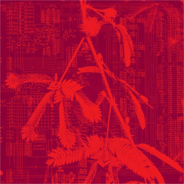 Incorporeal - Hidden Horse
