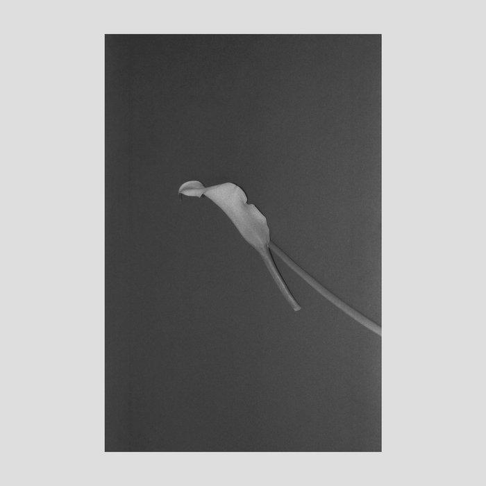 Diverse - In A Lonely Place