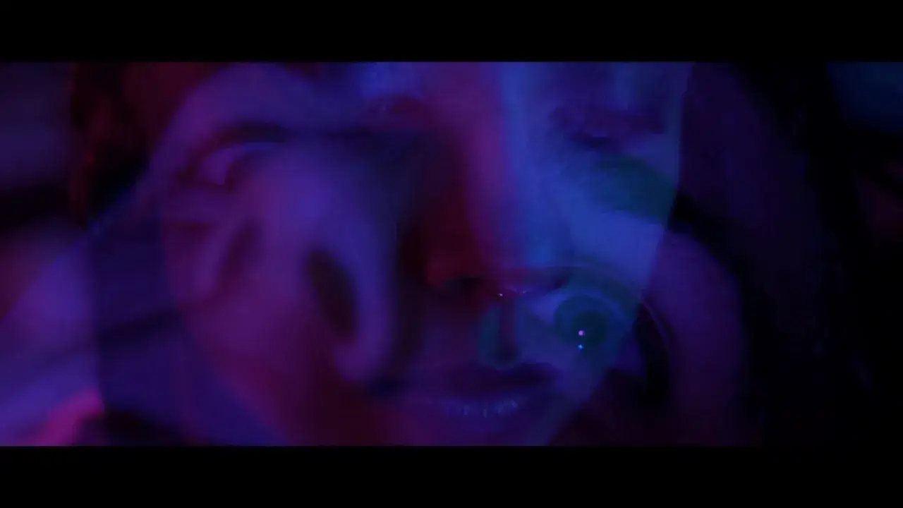 Shelter - Moire