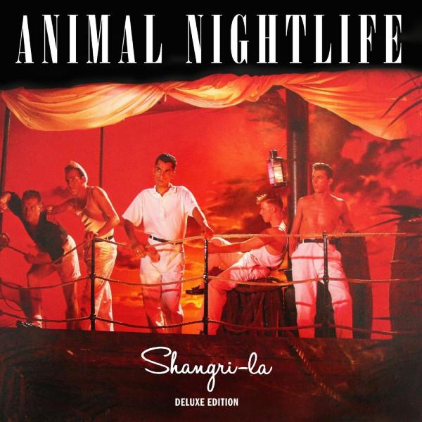 Mr Solitaire - Panther Remix - Animal Nightlife