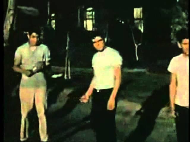  - The Hi-Strung Ramblers