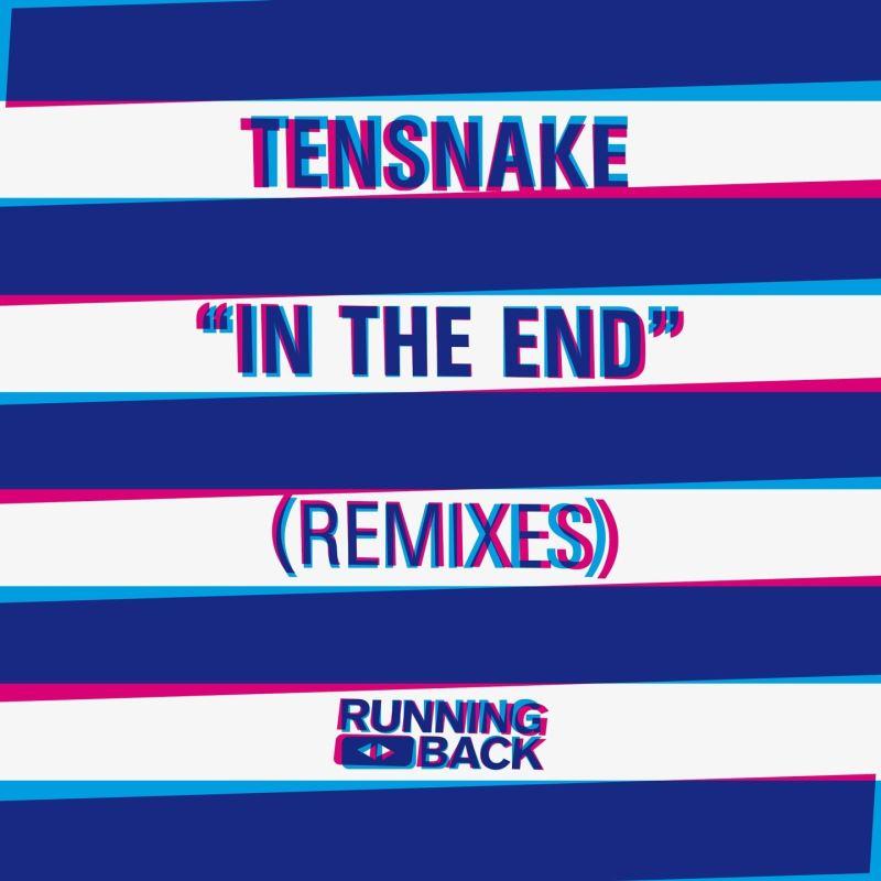 In The End Remixes - Tensnake