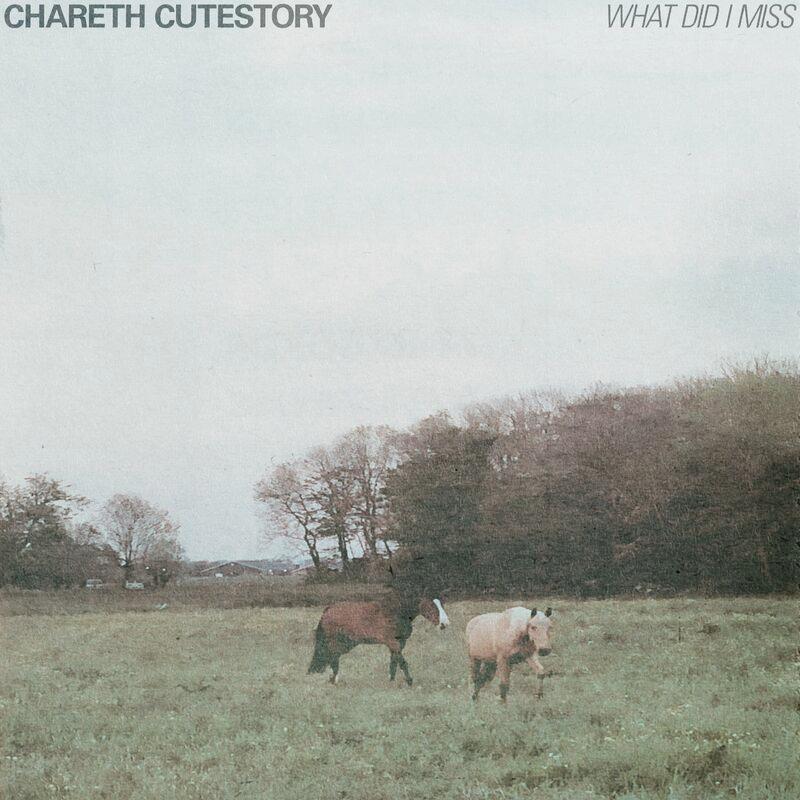 What Did I Miss - Chareth Cutestory