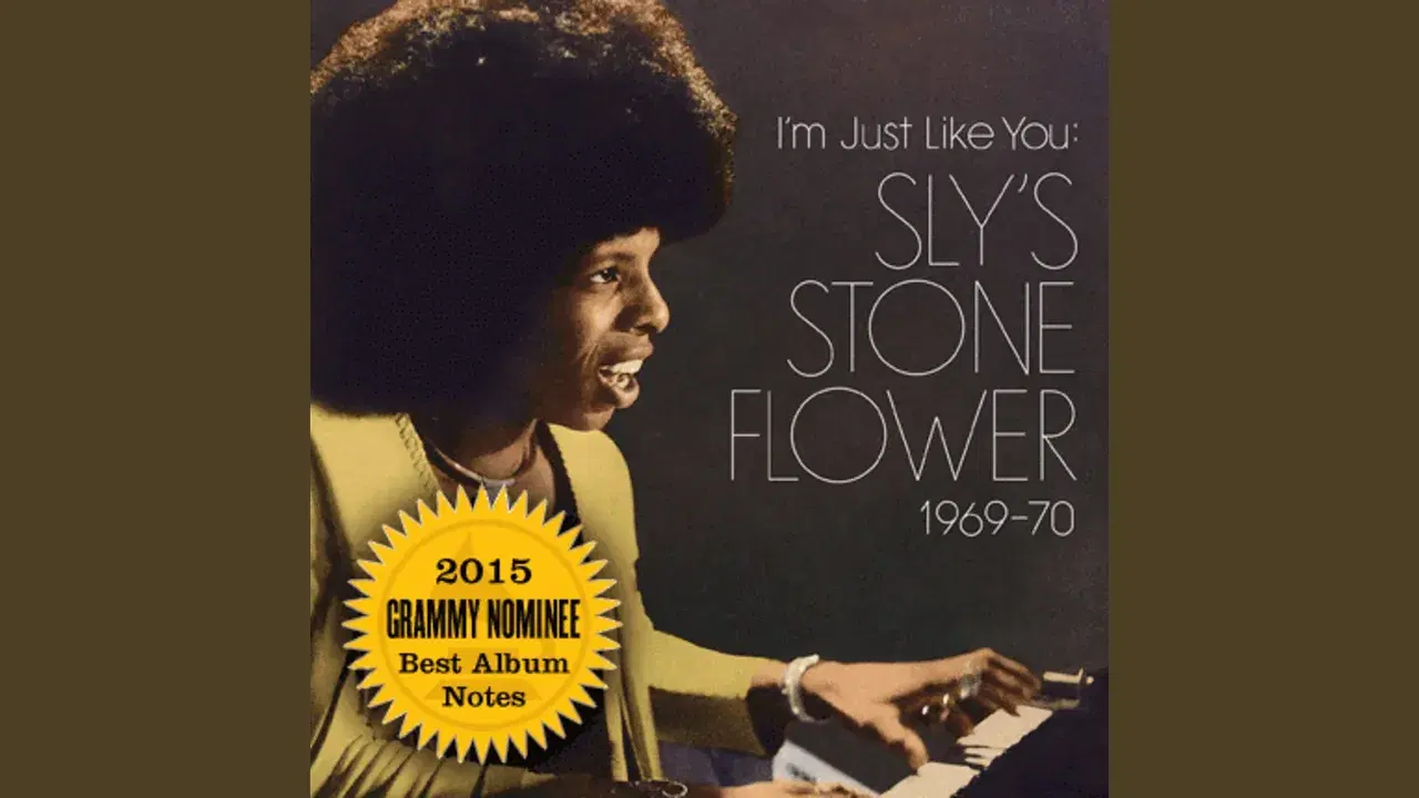 I'm Just Like You: Sly's Stone Flower 1969-70 - Sly Stone