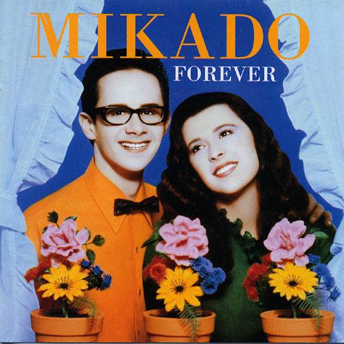 Naufrage En Hiver - Mikado
