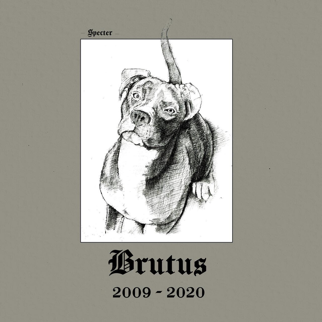 BRUTUS (2009-2020) Sound Signature - Specter