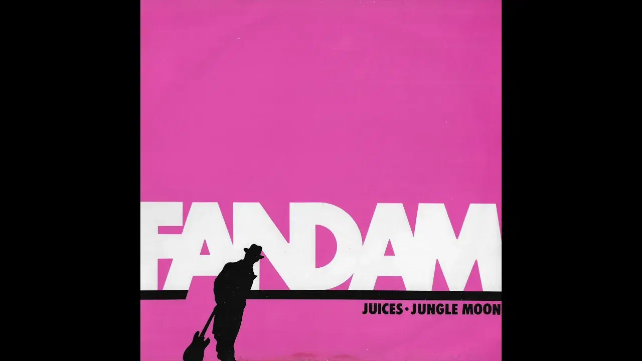 VINYL RIP - fandam