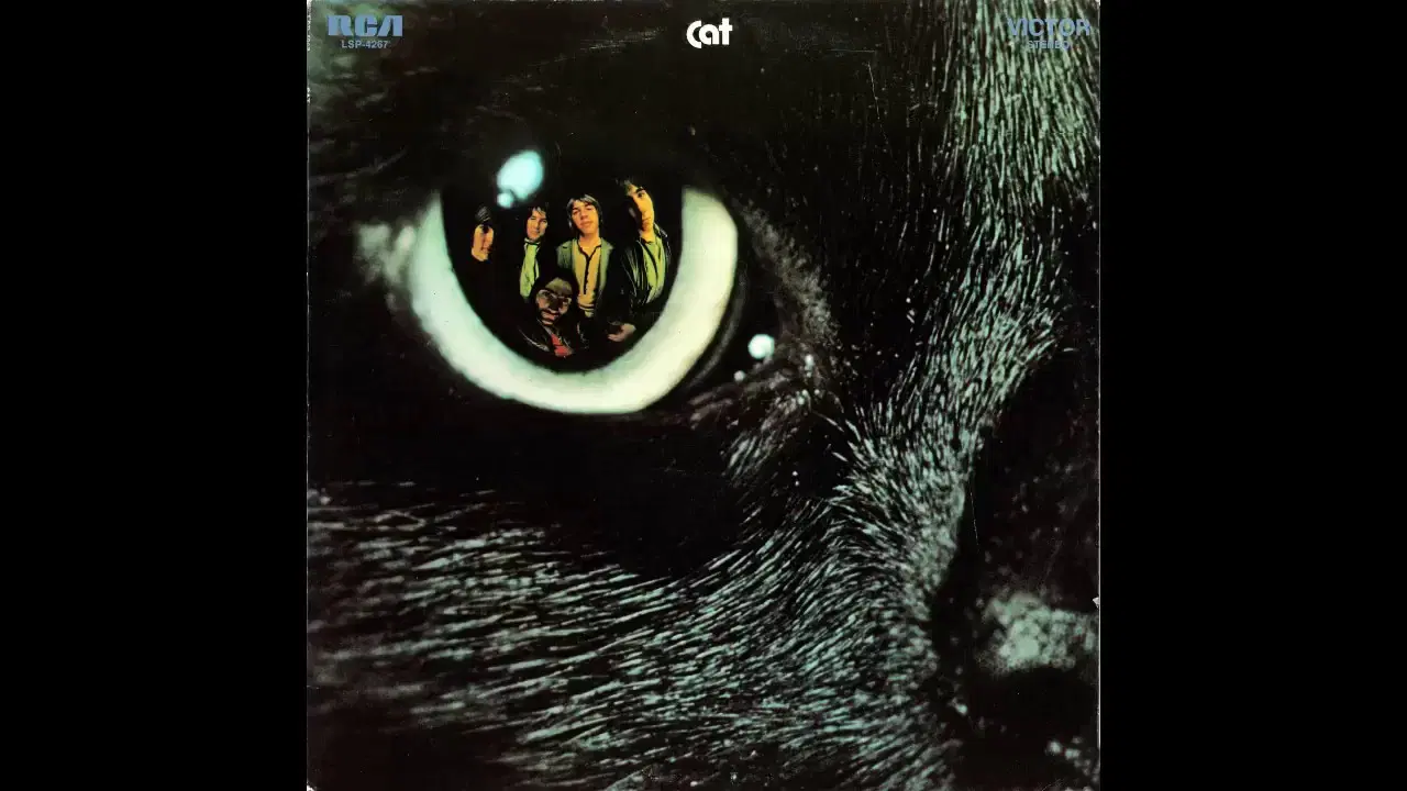 Solo Flight / We're All In This Together - Cat
