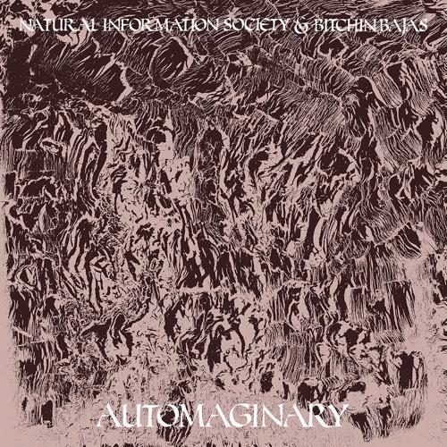 Automaginary - Natural Information Society & Bitchin Bajas