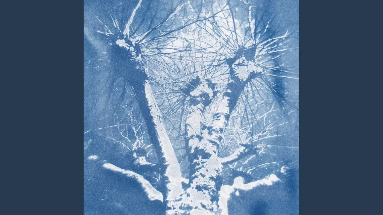 Blue Thirty-Seven - Anna Homler, Elizabeth Falconer