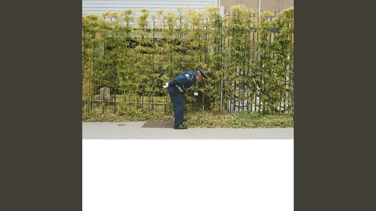 Good Luck And Do Your Best - Gold Panda