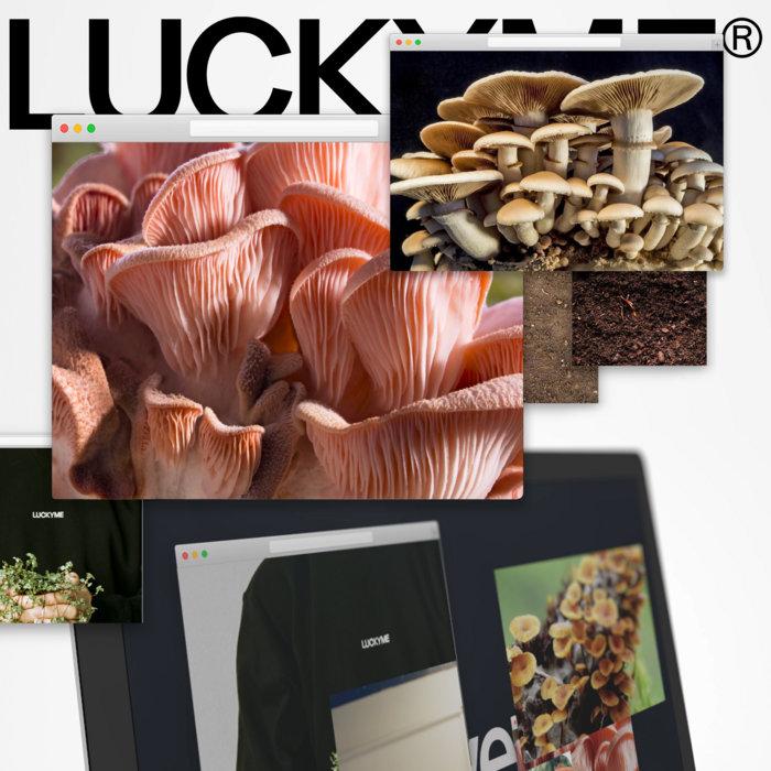 LuckyMe Advent Calendar 2020 - Nathan Micay