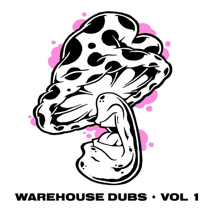 Warehouse Dubs Vol 1 - Kaval