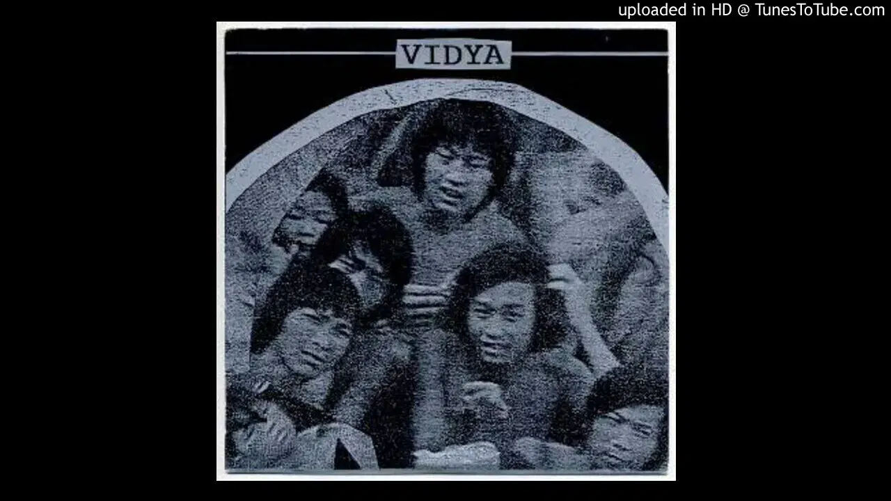 Vidya - Telectu & Carlos Zíngaro