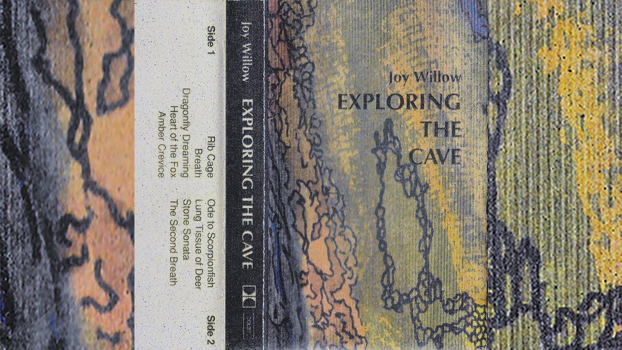 Exploring The Cave - Joy Willow