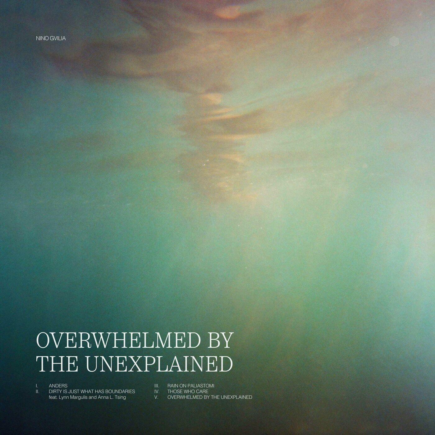 Overwhelmed by the Unexplained - Nino Gvilia